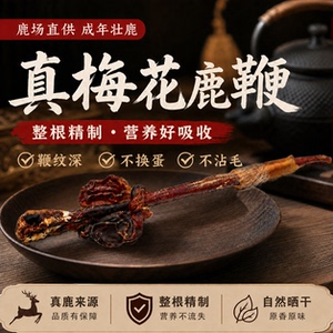 梅花鹿鹿鞭鹿场直销