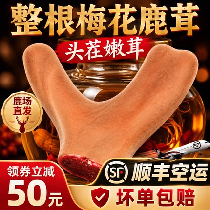 吉林新鲜梅花鹿茸整根泡酒专用煲汤整枝头茬二杠嫩中药材带血礼盒
