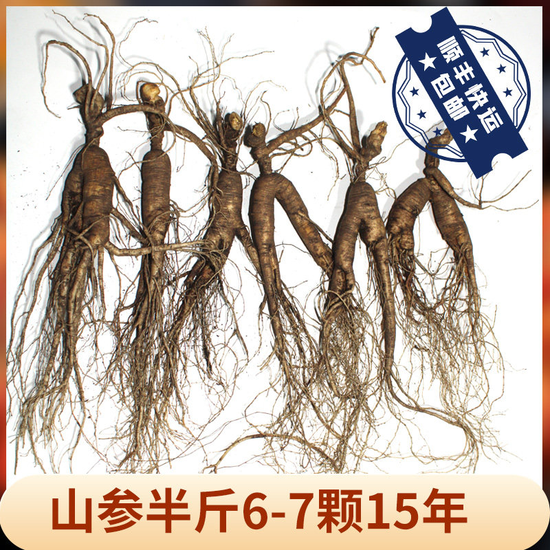新鲜林下参吉林特产人参林下参泡酒煲汤