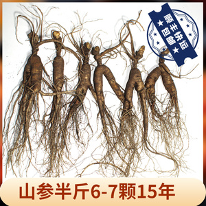 新鲜林下参吉林特产人参林下参泡酒煲汤