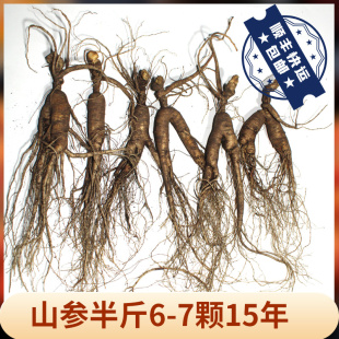 新鲜林下参吉林特产人参林下参泡酒煲汤