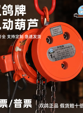 双鸽牌DHT-Z型环链电动提升机量大批发380V固定式2T3T5吨10吨葫芦