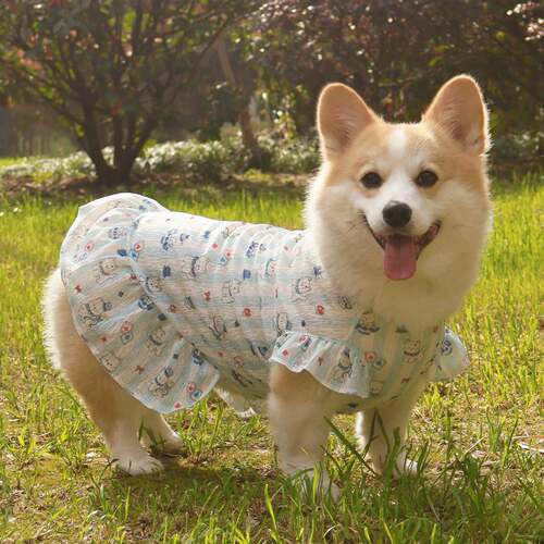 柯基柴犬比熊狗狗衣服2026春夏薄款裙子背心凉凉衣防掉毛防0824k