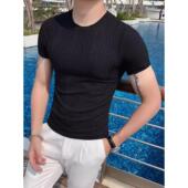 t恤男士 夏季 薄休闲圆领经典 冰丝短袖 紧身弹力t恤修身 底衣0207r