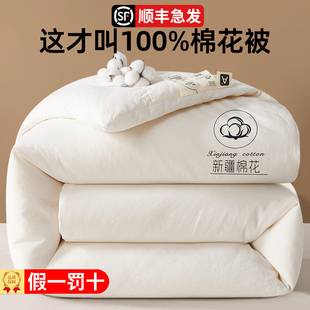 城外新疆棉花被子冬被棉被加厚保暖纯棉花一级长绒棉被芯冬天棉絮