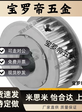 HTPA20/22/24/25/26/28/30/36/40S8M250/300/400-A/B-P/N同步带轮