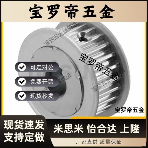 HTPA20/22/24/25/26/28/30/36/40S8M250/300/400-A/B-P/N同步带轮