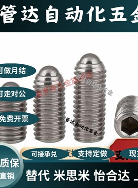 BSJL3/4/5/6/8/10/12/16加长型内六角304不锈钢球头柱塞 ZAH03