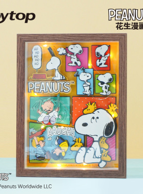 悦木史努比立体相框画解压玩具