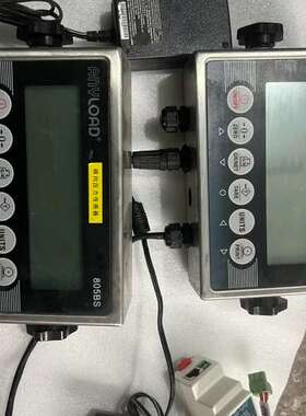 ANYLOAD称重显示器805BS-1-19-CN，包功