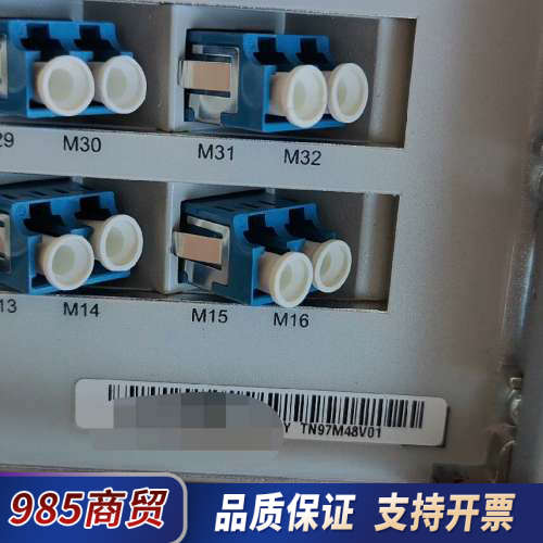 TN97M48V01    TN97M48V02议价