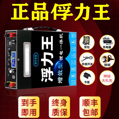 正品199v锂电池一体机大功率整套容逆变一体户外便携新能源电瓶