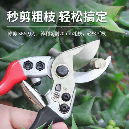 修枝剪刀园林花艺修剪树枝剪刀果树剪刀粗大花剪园艺剪子专用工具