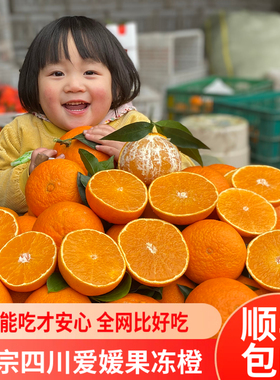 四川爱媛果冻橙38号官方旗舰店红美人大果爱瑷源园新鲜现摘发顺丰