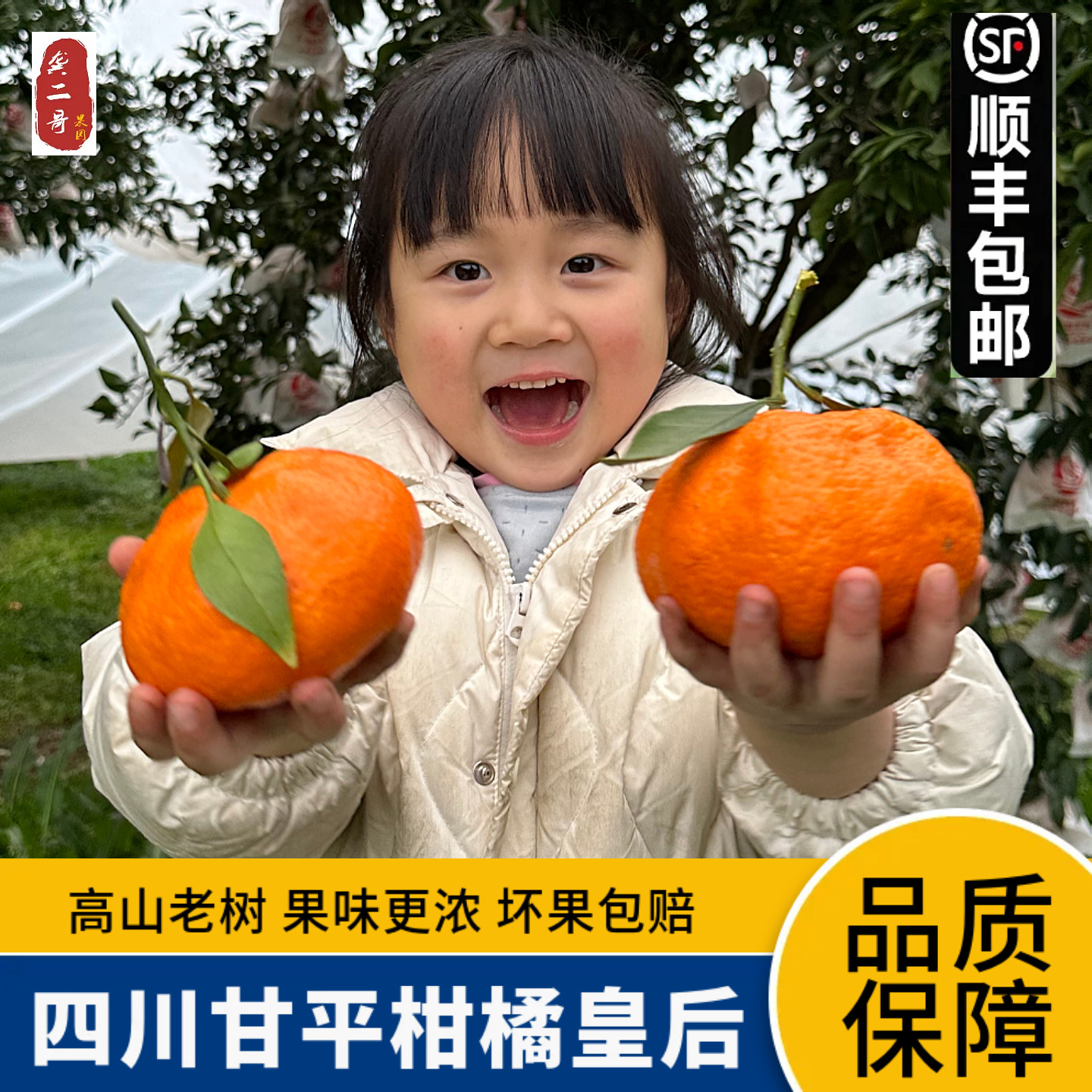 ��Ʒ�����Ĵ���ƽ���ٻʺ��ش����и�ƽ�ٽ������ʴ���˳����ժ 0.1�� ���� 5��10-12�� 112.68Ԫ��2��(��56.34Ԫ/��)