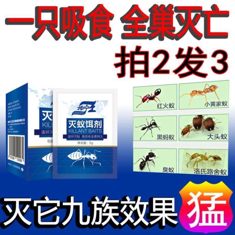 家里有蚂蚁价格 家里有蚂蚁图片 星期三 家里有蚂蚁价格 家里有蚂蚁图片 星期三