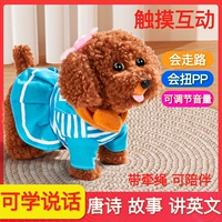 Коричневые волосы синие подарок