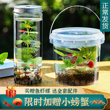 生态瓶DIY小鱼手提塑料微景观淡水冷水观赏鱼虾真水草活体学校