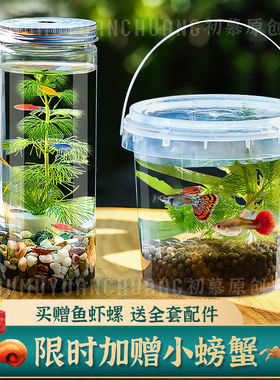 生态瓶DIY小鱼手提塑料微景观淡水冷水观赏鱼虾真水草活体学校