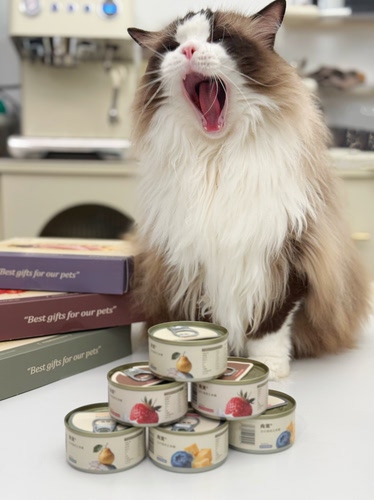 向茸猫主食罐羊奶草莓鸡北极鳕奶酪兔全价猫用猫湿粮猫咪罐头