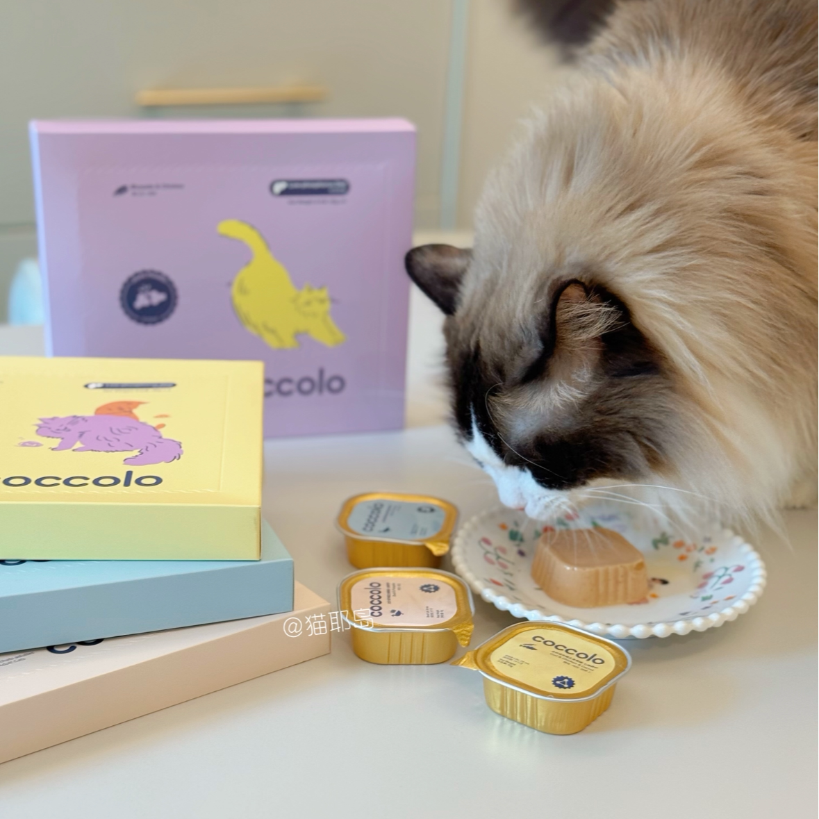 coccolo成年猫咪主食餐盒中老年宠物低磷肠胃关节养护湿粮猫罐头