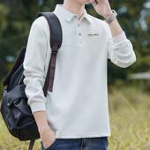 春秋季 翻领休闲简约百搭秋衣T恤宽松翻领有领卫衣 男士 长袖 Polo衫
