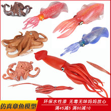 仿真海洋生物海底鱿鱼玩具章鱼动物模型大王乌贼模型男孩生日礼物