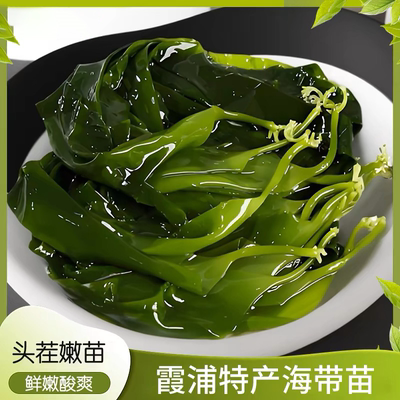 福建霞浦海带苗海小包装嫩苗火锅煲汤盐渍凉拌海带苗海底捞同款