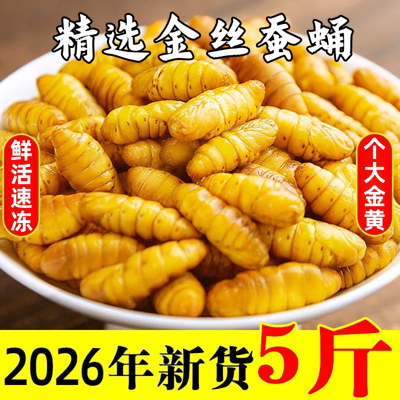 新鲜速冻金丝蚕蛹山东商用批发