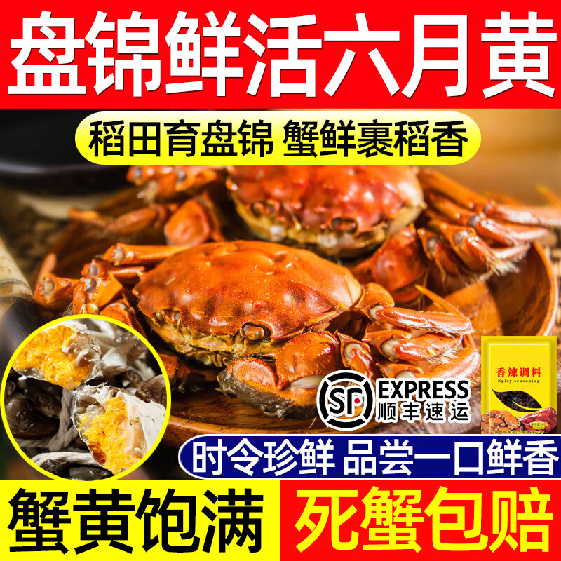 盘锦鲜活六月黄螃蟹直发顺丰