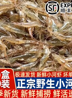 淡水小河虾鲜活冷冻新鲜青虾湖虾水产急冻小草虾醉虾小海虾小虾