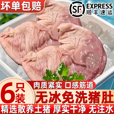 农家土猪肚新鲜冷冻去油火锅烧烤
