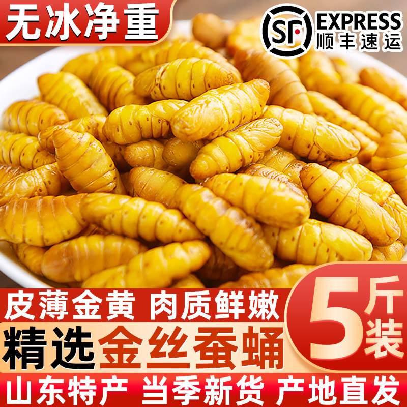 金丝蚕蛹新鲜鲜活速冻金丝蚕小蚕蛹山东特产农家桑蚕蛹黄金蛹顺丰