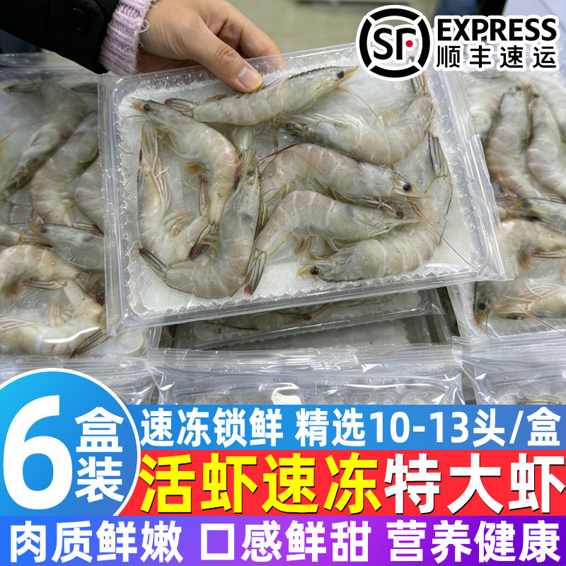 青岛新鲜速冻海虾整箱批发价