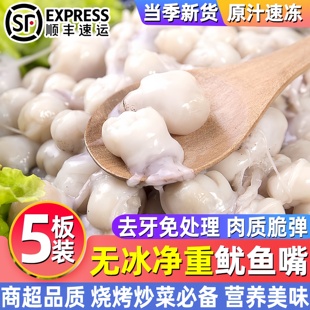鱿鱼嘴新鲜冷冻目鱼嘴八爪鱿鱼嘴墨鱼嘴铁板烧烤穿串餐饮食材批发