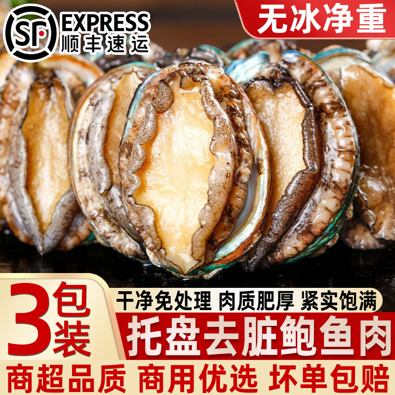 鲍鱼肉鲜活冷冻带壳新鲜活鲍速冻小鲍鱼肉火锅食材海鲜酒宴火锅