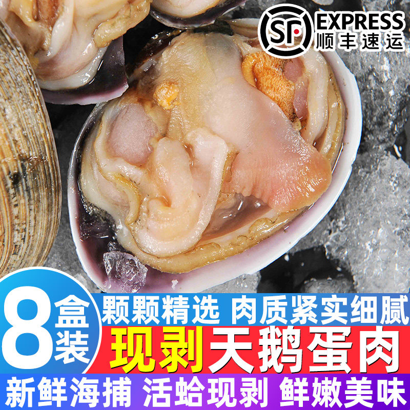 新鲜天鹅蛋肉纯肉无沙活蛤现剥鲜活速冻紫石房蛤肉海鲜食材贝类