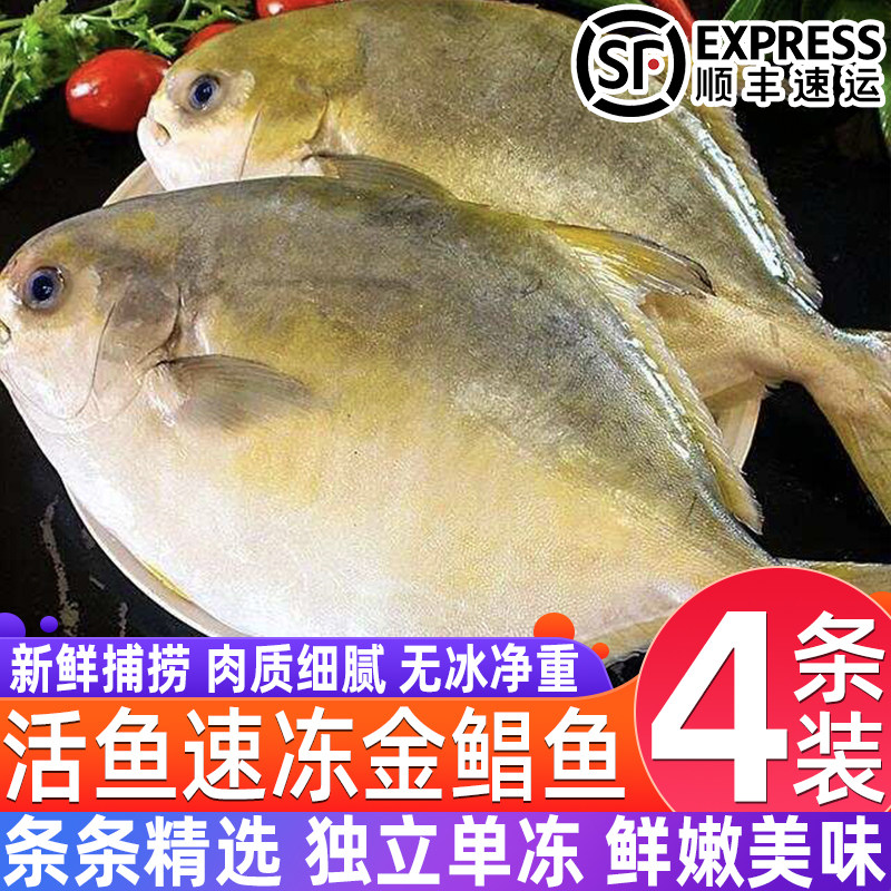 新鲜金鲳鱼鲜活冷冻特大金昌鱼平鱼海昌野生金鲳鱼深海海鲜水产