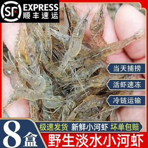 淡水小河虾鲜活冷冻新鲜青虾湖虾水产急冻小草虾醉虾小海虾小虾