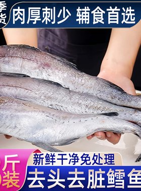 无头鳕鱼明太鱼冷冻去头去内脏