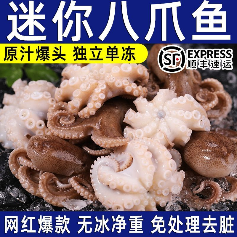 迷你八爪鱼小八爪鱼爆头