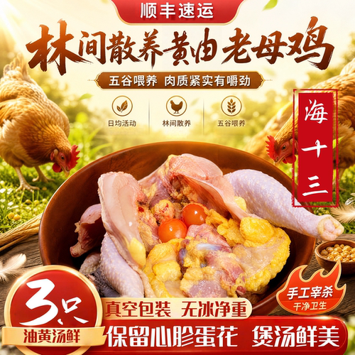 农家散养黄油老母鸡冷冻顺丰