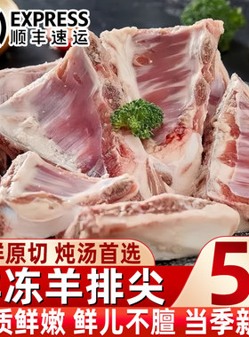新鲜羊排尖冷冻羊小排