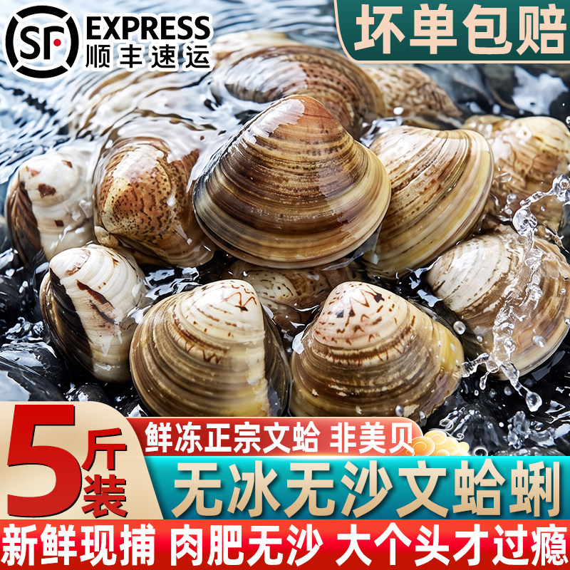 无冰无沙大号文蛤蜊鲜冻