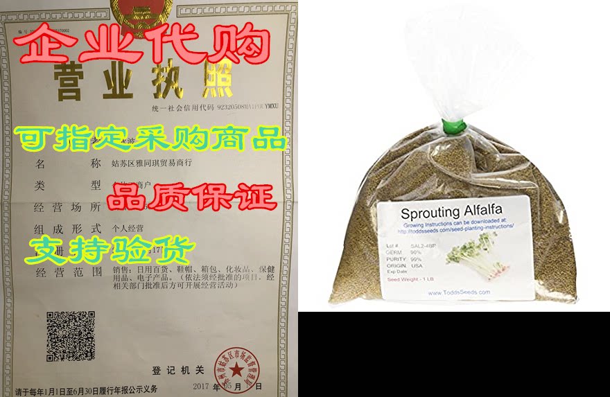 chemical free alfalfa sprout seeds -1 lb- seeds for: sala
