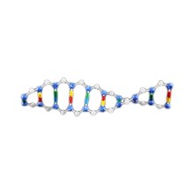 高中生物dna双螺旋结构模型组件实验器材教学仪器学具教具