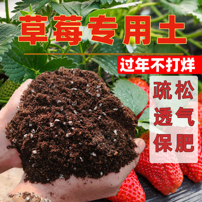 土中土草莓盆栽种植专用营养土家用阳台育苗养种花肥料泥炭营养土 虎窝淘
