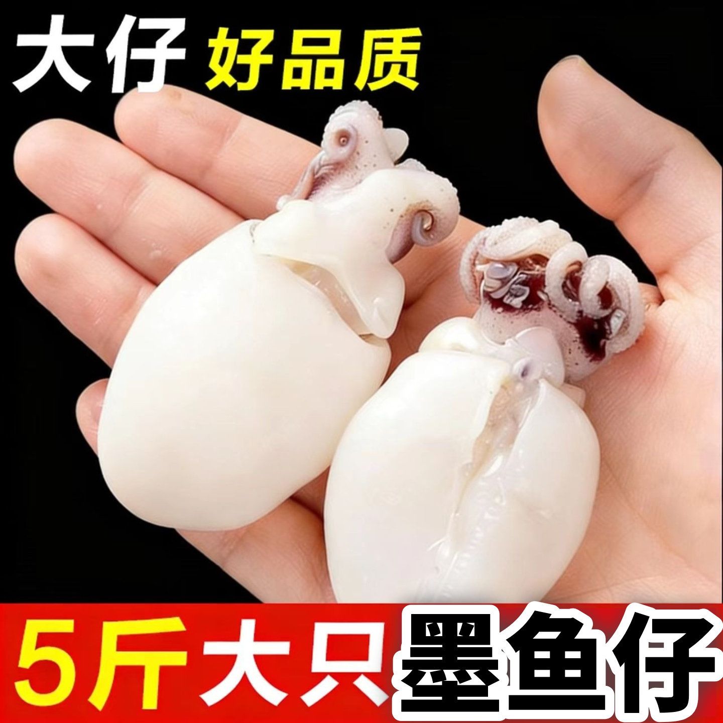 墨鱼仔新鲜冷冻乌贼小鱿鱼冷冻小墨鱼无包冰鲜活捞汁小海鲜商用图片