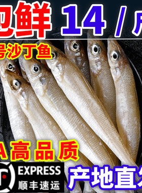 沙丁鱼新鲜尖梭鱼鲜活冷冻大丁尖鱼深海鱼宝宝辅食商用海鲜水产