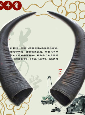 云南天然空心原材料黑水牛角